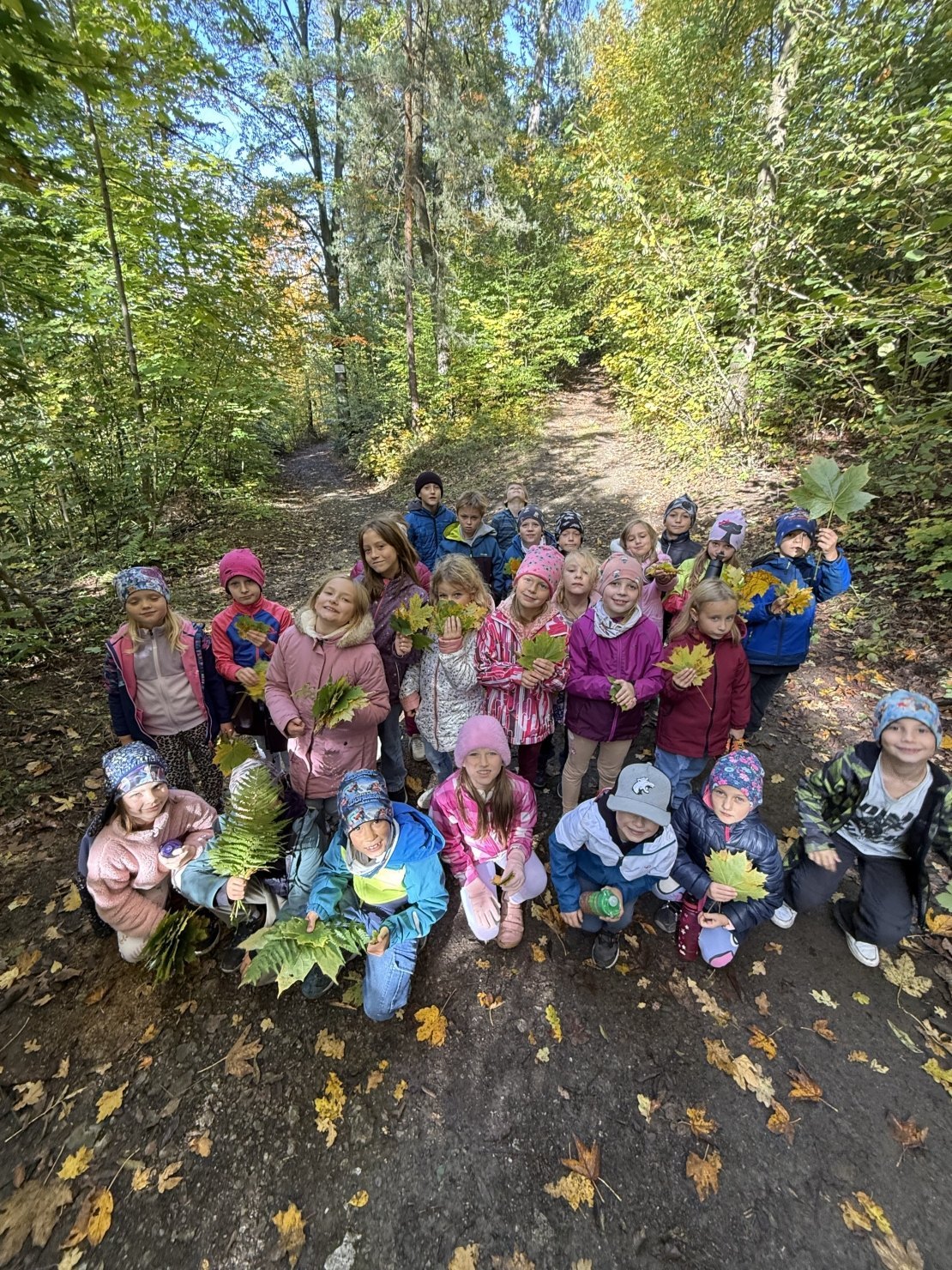 Podzimní procházka do lesa