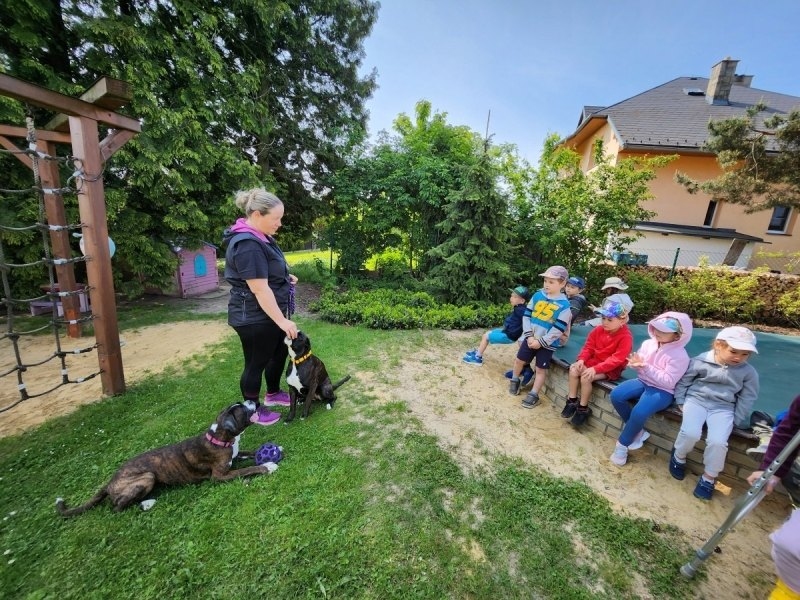 DOPLEDNE S PEJSKY NA ŠKOLNÍ ZAHRADĚ