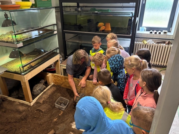 PROJEKTOVÝ DEN - ŽELVY UHLÍŘSKÉ