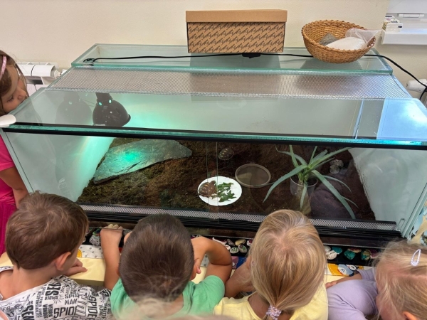 PROJEKTOVÝ DEN - ŽELVY UHLÍŘSKÉ