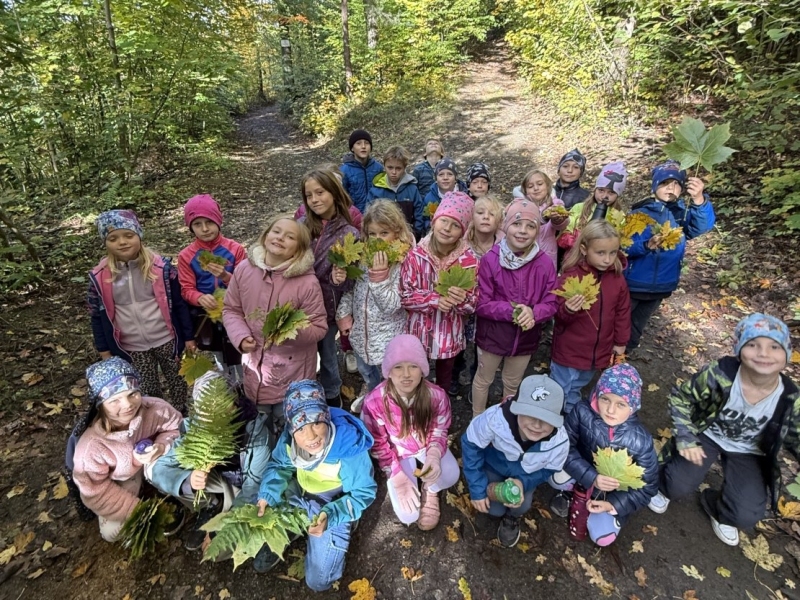 Podzimní procházka do lesa